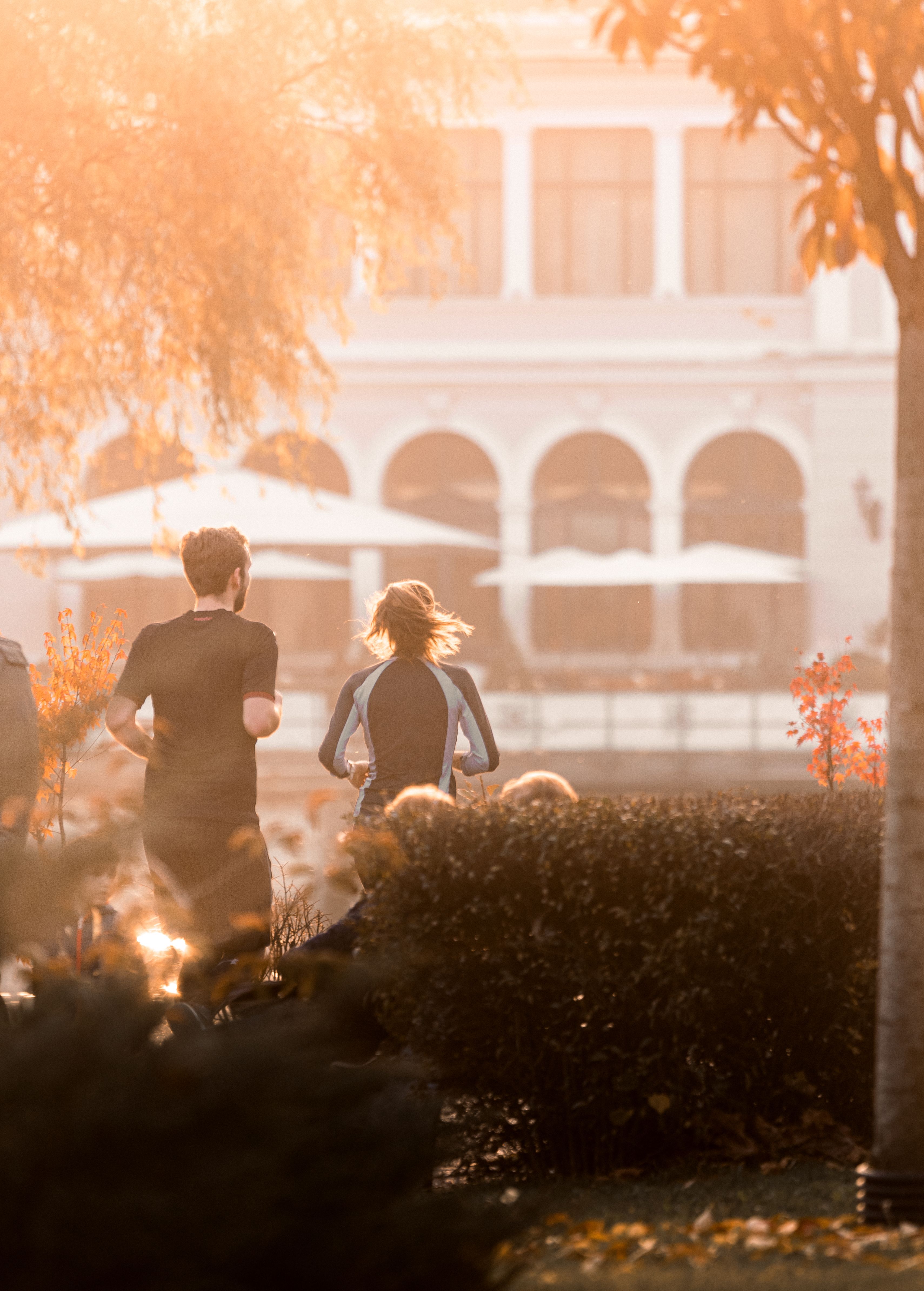 Runners moving together in warm morning light